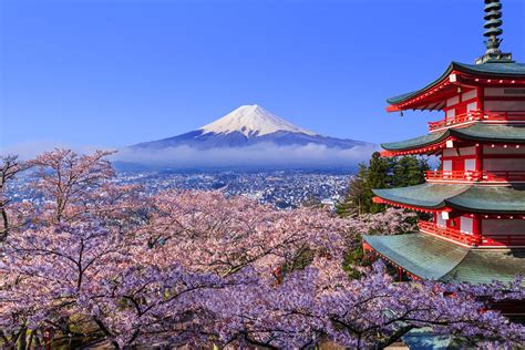 when is the best time to visit japan